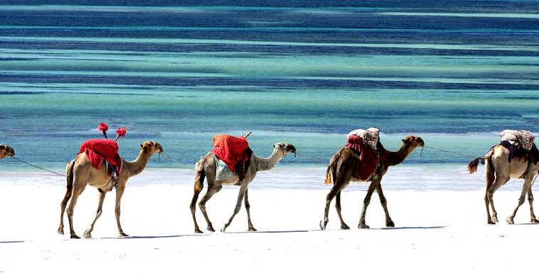 Picture by Daniela Hartmann